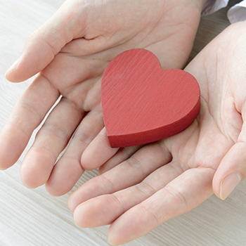 mtestのメイン画像です